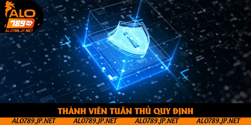 Chính Sách Bảo Mật alo789 - Tìm Hiểu Điều Khoản Cam Kết 2 Thành viên tuân thủ quy định